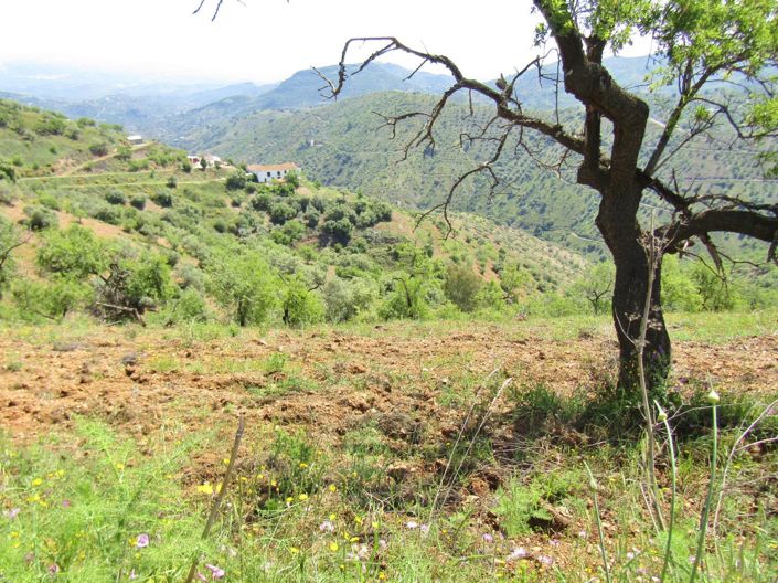 Image No.29-5 Bed Cortijo for sale