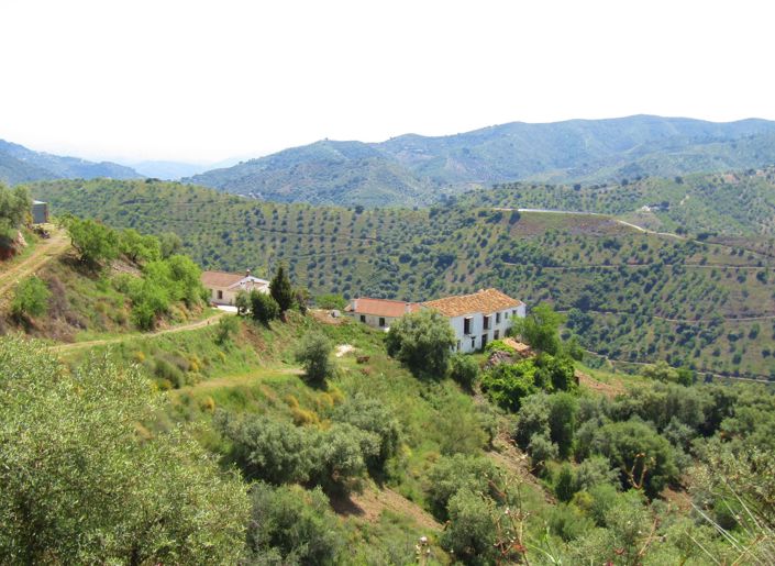 Image No.30-5 Bed Cortijo for sale