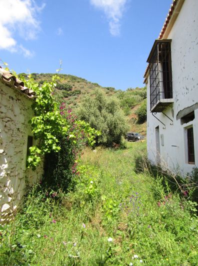 Image No.5-5 Bed Cortijo for sale