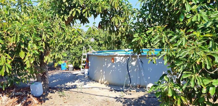 Image No.2-Ferme de 3 chambres à vendre à Benamocarra