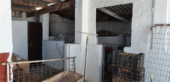 Image No.27-Ferme de 3 chambres à vendre à Benamocarra