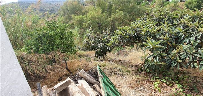 Image No.9-4 Bed Country House for sale