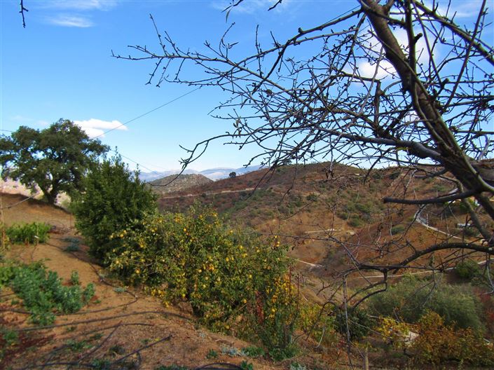 Image No.3-3 Bed Country House for sale