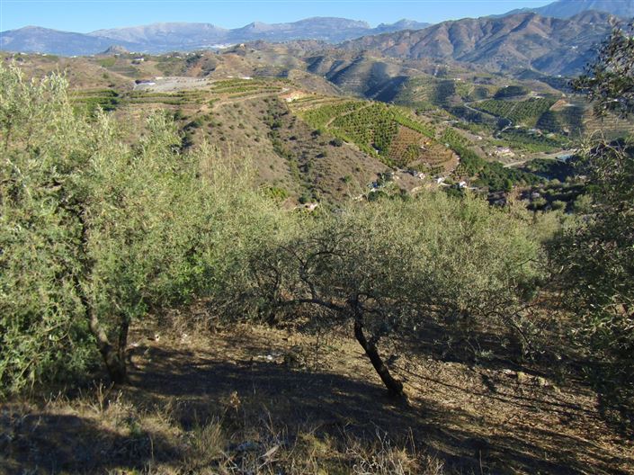 Image No.9-2 Bed Country House for sale