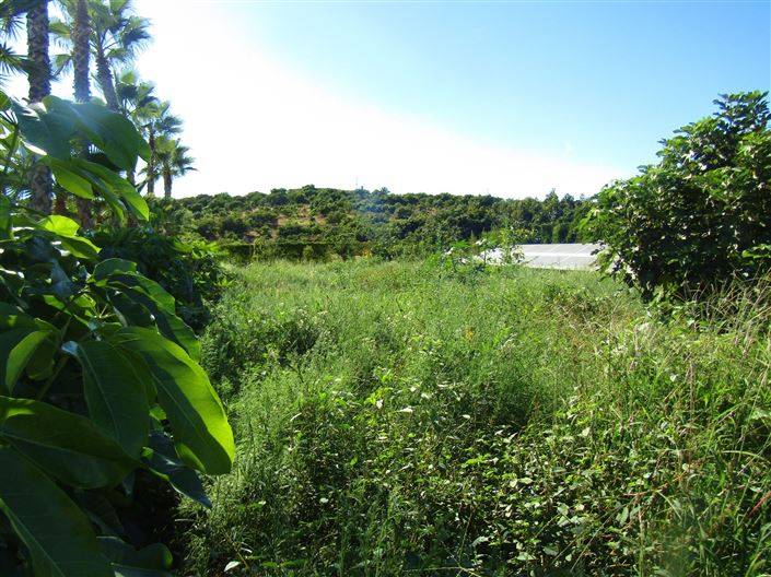 Image No.9-14 Bed Cortijo for sale