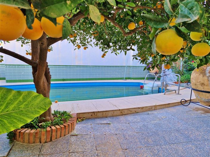 Image No.40-Maison de ville de 12 chambres à vendre à Vélez-Málaga