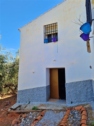 Image No.19-3 Bed Country House for sale