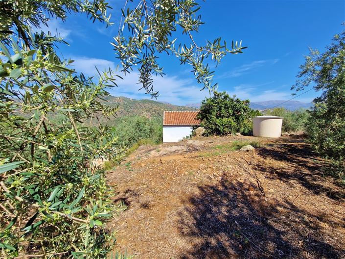 Image No.2-3 Bed Country House for sale