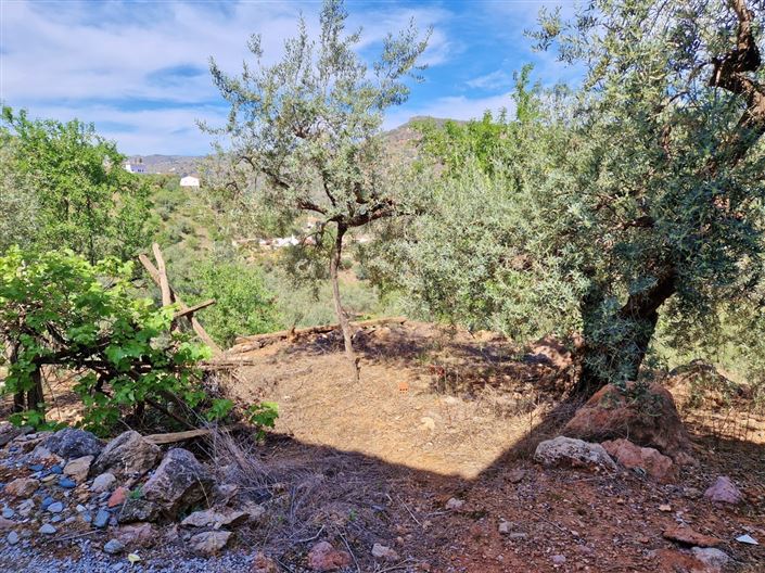 Image No.22-3 Bed Country House for sale