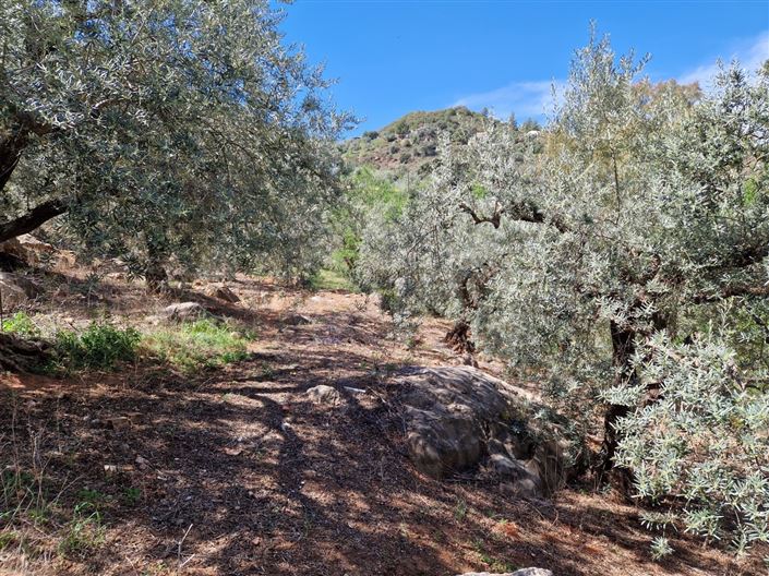 Image No.23-3 Bed Country House for sale