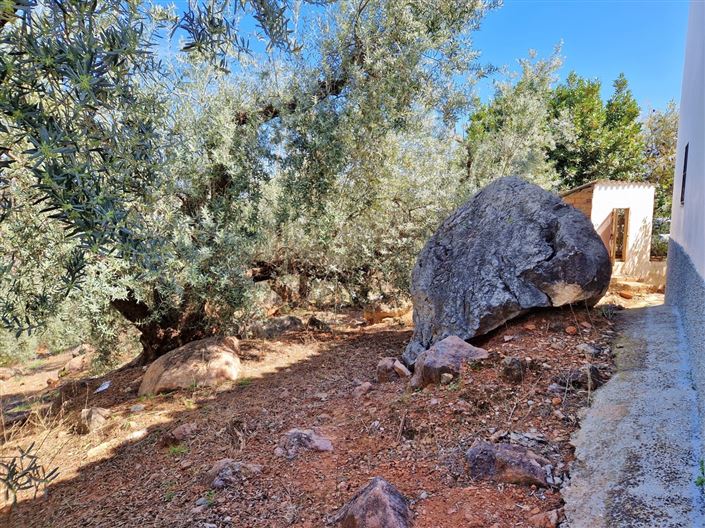 Image No.27-3 Bed Country House for sale