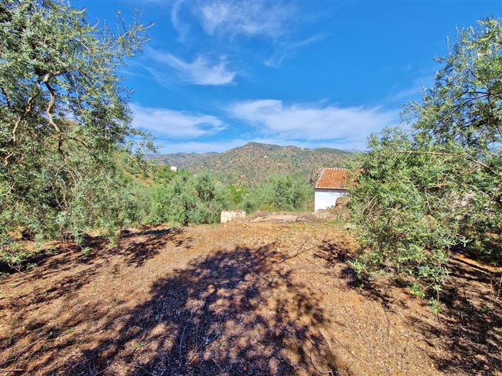 Image No.3-3 Bed Country House for sale