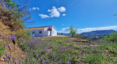Unspoilt Andalusia most sold property