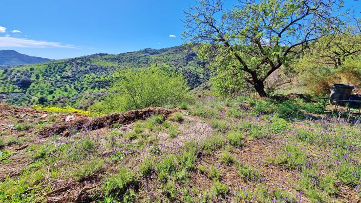 Image No.5-4 Bed Country House for sale