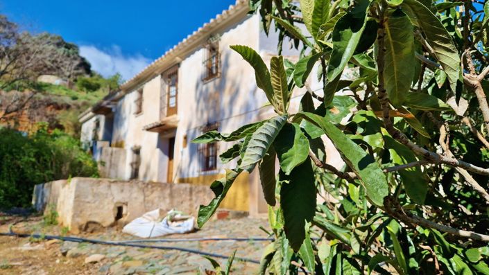 Image No.2-5 Bed Country House for sale
