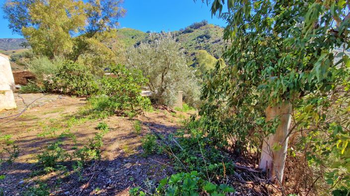 Image No.35-5 Bed Apartment for sale