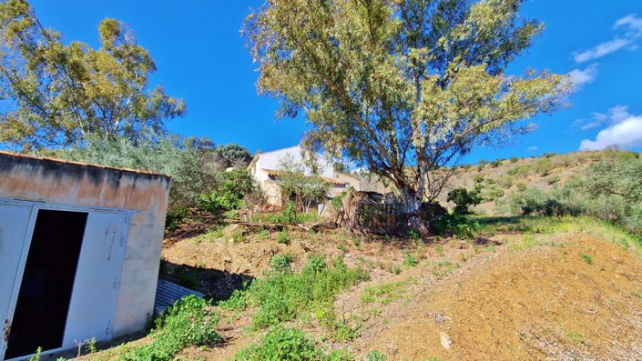 Image No.38-5 Bed Country House for sale
