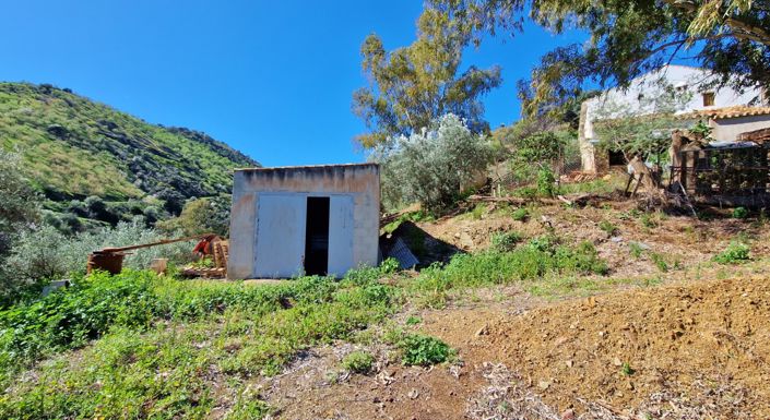 Image No.39-5 Bed Country House for sale