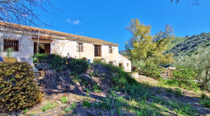 Image No.4-5 Bed Country House for sale