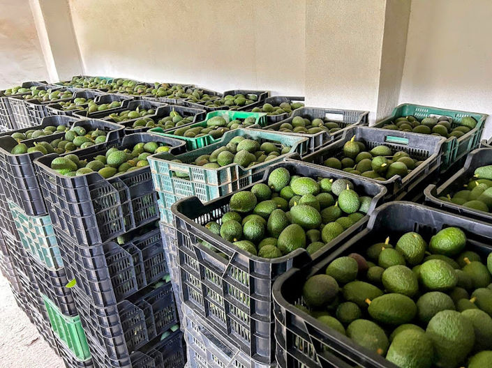 Image No.14-2 Bed Country House for sale