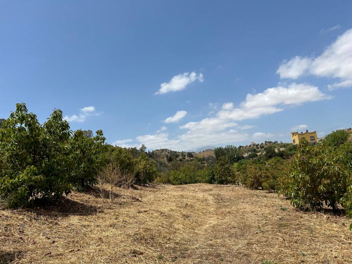 Image No.18-2 Bed Country House for sale