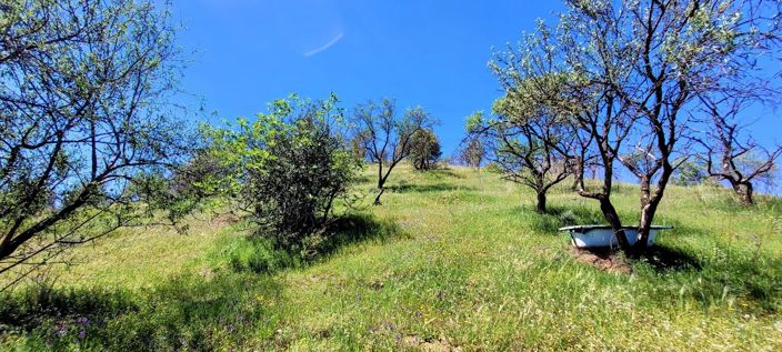 Image No.34-2 Bed Country House for sale