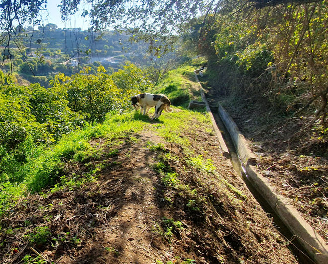 Image No.4-2 Bed Country House for sale