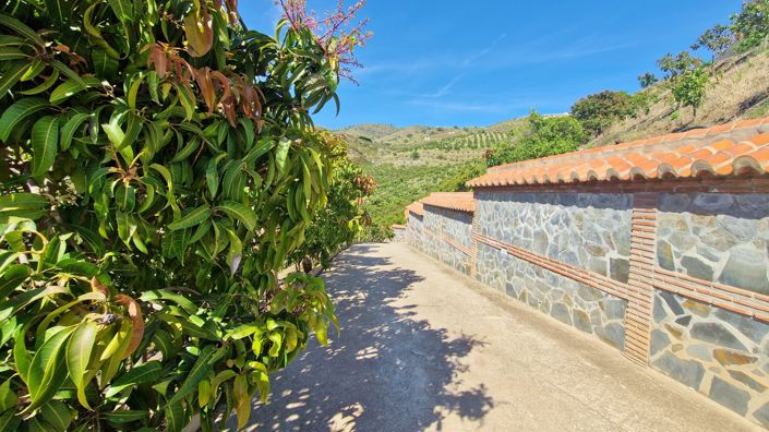 Image No.11-5 Bed Country House for sale