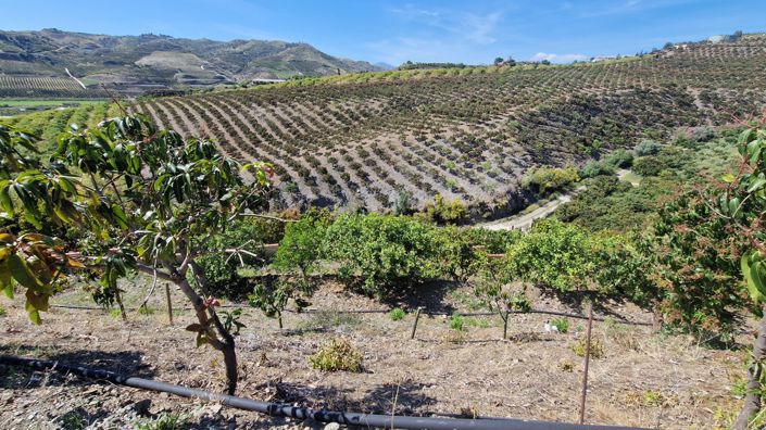 Image No.38-5 Bed Country House for sale