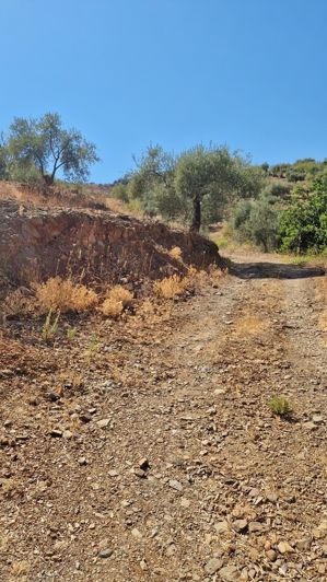 Image No.30-4 Bed Country House for sale