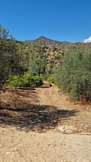 Image No.32-4 Bed Country House for sale