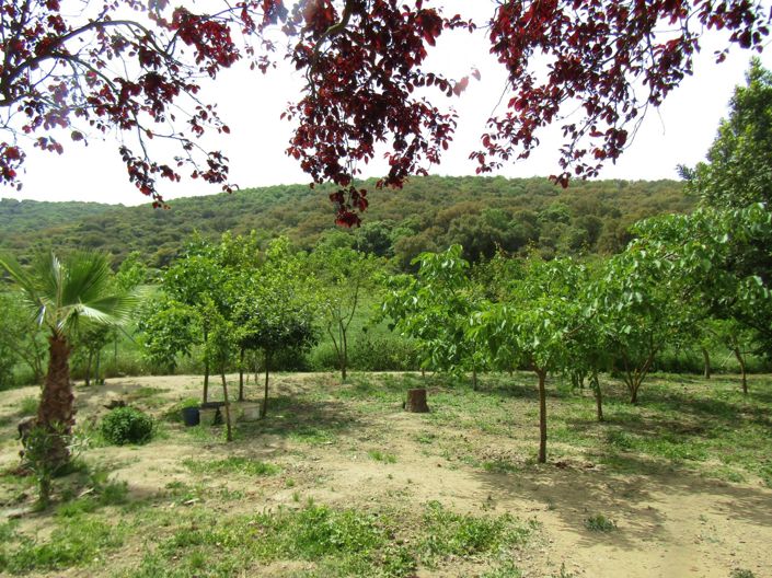 Image No.15-Maison de campagne de 4 chambres à vendre à Grenade