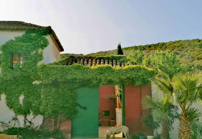 Image No.2-Maison de campagne de 4 chambres à vendre à Grenade