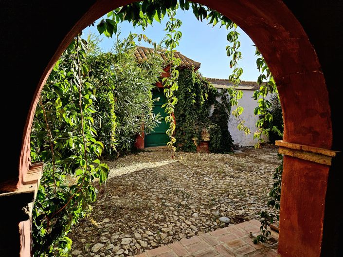 Image No.26-Maison de campagne de 4 chambres à vendre à Grenade