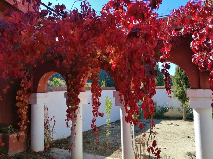 Image No.4-Maison de campagne de 4 chambres à vendre à Grenade