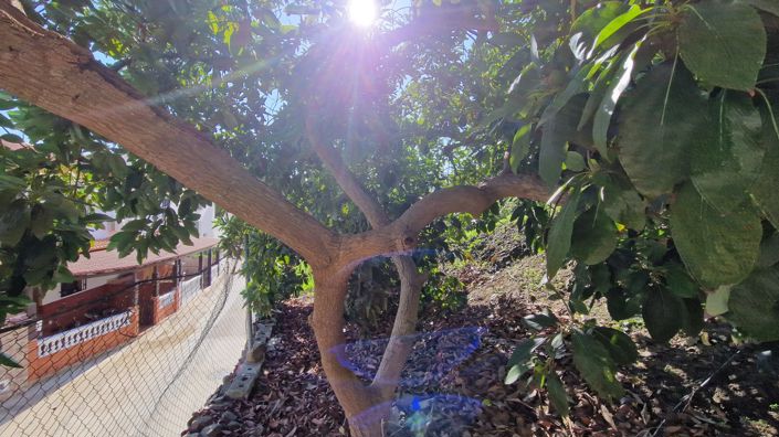 Image No.12-3 Bed Village House for sale