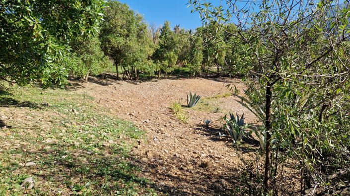 Image No.41-3 Bed Country House for sale