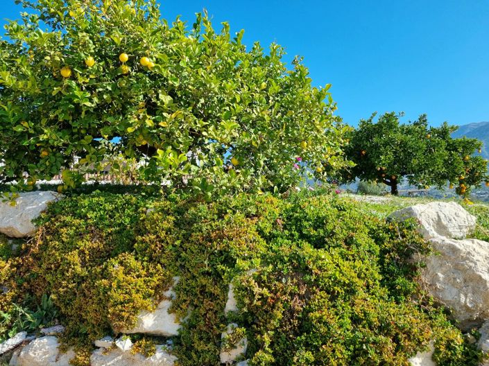 Image No.43-3 Bed Country House for sale