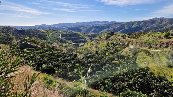 Image No.11-3 Bed Country House for sale