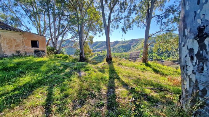 Image No.3-3 Bed Country House for sale