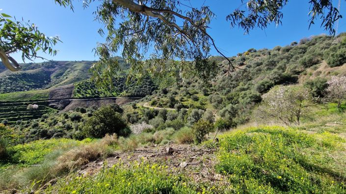 Image No.4-3 Bed Country House for sale