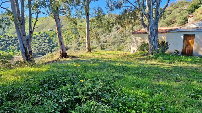 Image No.5-3 Bed Country House for sale