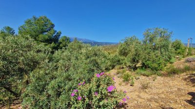 Unspoilt Andalusia most sold property