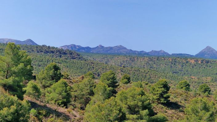 Image No.20-2 Bed Country House for sale