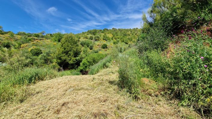 Image No.49-3 Bed Country House for sale