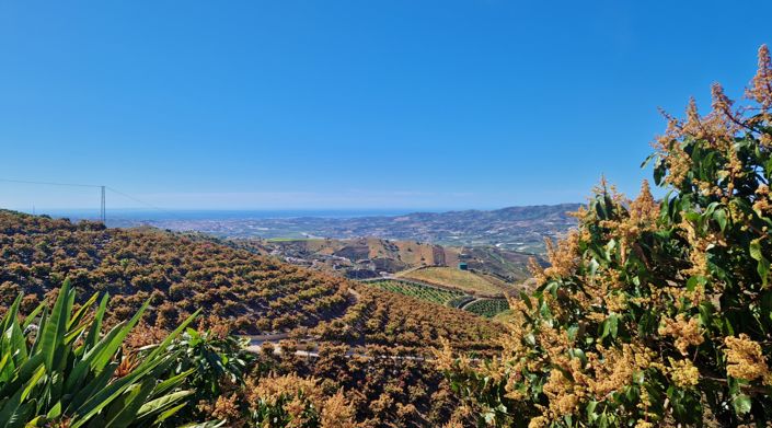 Image No.24-4 Bed Country House for sale