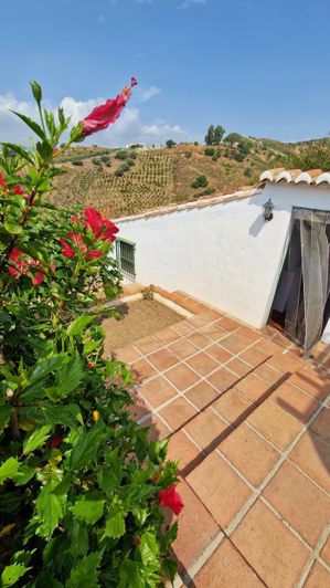 Image No.30-Maison de campagne de 4 chambres à vendre à Malaga