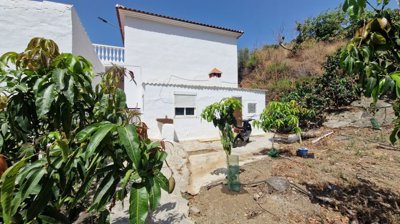 0dto3pluba20250620120037