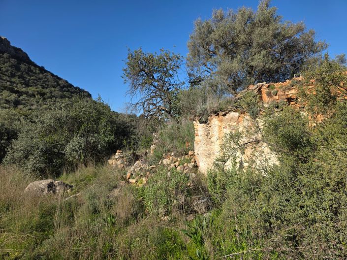 Image No.10-3 Bed Property for sale