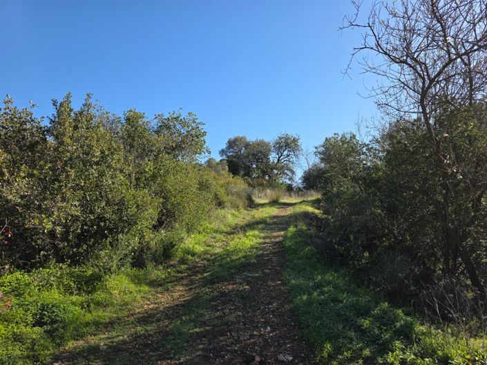 Image No.16-3 Bed Property for sale